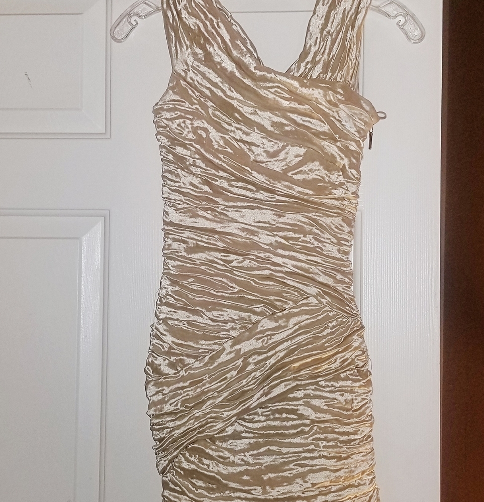 Gorgeous Nicole Miller Dress- Cream